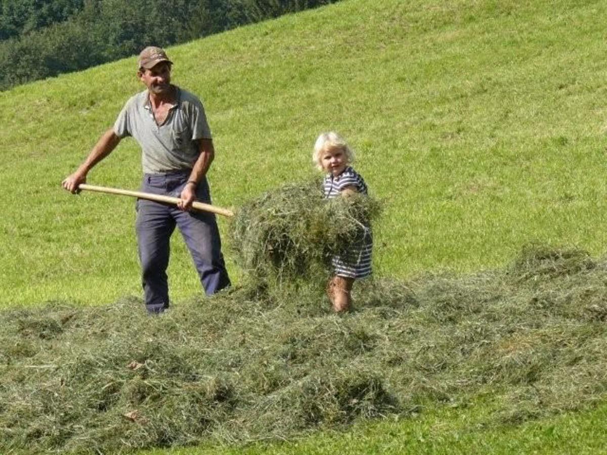 Floachhof Daire Weerberg Dış mekan fotoğraf